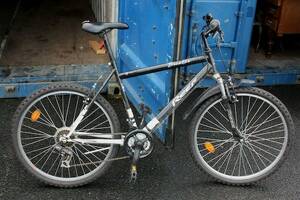 Herrcykel Reef