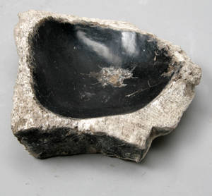 Unika fuglebad  fad udhugget i forstenet træ