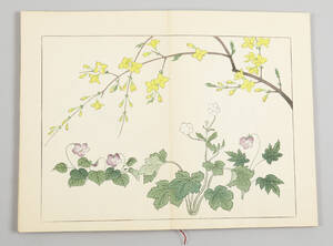 Japanska blomsterböcker