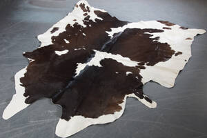 Koskinn, från Brasilien