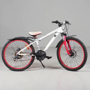 CYKEL junior Crescent 24 21vxl