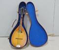 Mandolin, Levin, i låda