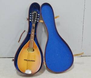 Mandolin, Levin, i låda