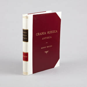 Anatomiskt verk av Retzius