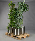 Fire planter i cirkulære potter af rustfrit stål. 4