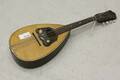 Mandolin
