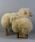 Paar Schafe 2