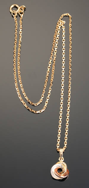 Kæde og vedhæng af guld 14 kt.