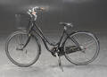 von Backhaus, damecykel 8146