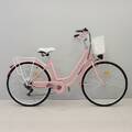 Damcykel