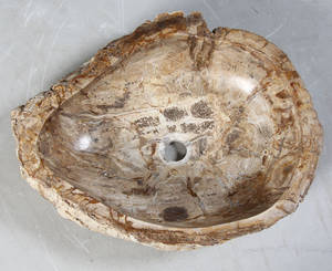 Unik Vask udhugget i forstenet træ