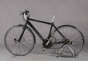 Nishiki, herrecykel.