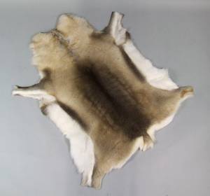 Rentierfell, Größe XXL