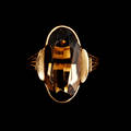 Ring 18 k guld rökkvarts