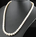 Fresh water pearl necklace in gold with different sizes 