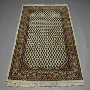 Kashmir mir. 167 x 95 cm