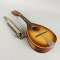Mandolin