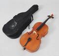 Cello 34