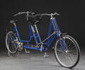 Dan-kunst. Handicaptandem, blå