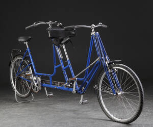 Dan-kunst. Handicaptandem, blå