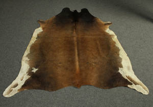 Koskind. 206 x 176 cm.