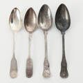 SKEDAR 4st, silver, 181900-tal