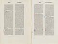 Incunabula leaves Vincentius Bellovacensis