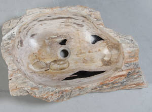 Unik Vask udhugget i forstenet træ