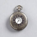 Herrfickur silver