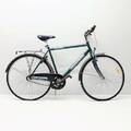 Herrcykel Backtrail Inter-3sp