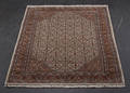 Kashmir Moud 242 x 175 cm