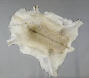 Rentierfell, Größe XXL