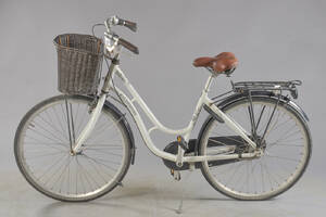 Kildemoes, damecykel. 6766