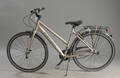 Ebsen, damecykel 6270