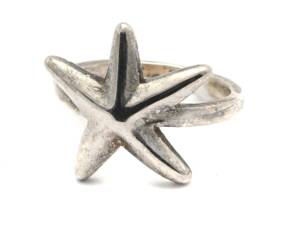 Ring S925 4,9g