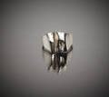 Ring i sterlingsilver Björn Weckström