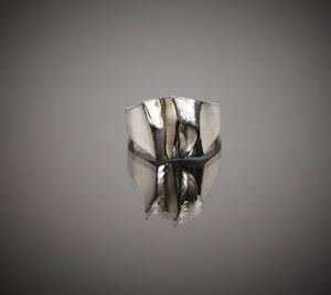 Ring i sterlingsilver Björn Weckström