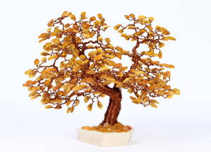 Ravtræ af dansk rav