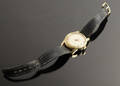 Herrarmbandsur Omega
