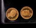Mynt i guld 20 kr Oscar II
