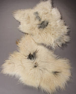 Økologisk islandsk fåreskind - longwool. Hvid med grå aftegninger. 2