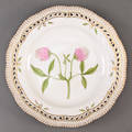 Royal Copenhagen. Flora Danica middagstallerken af porcelæn