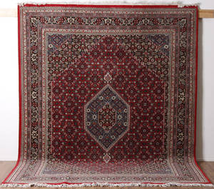 Kashmir Bidjar 310 x 243 cm