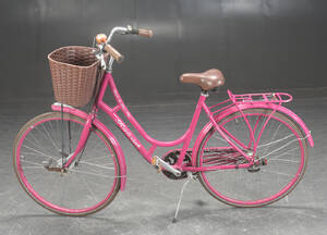 Raleigh, Damecykel 7889