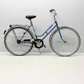 Damcykel