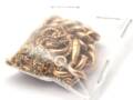 Parti guld 18K