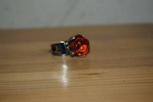 Ring Hjortron