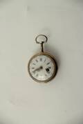 Fickur, Silver