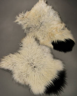 Økologisk islandsk fåreskind, hvid med sorte aftegninger. 2