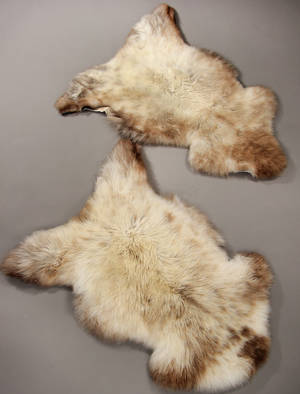 Økologisk engelsk fåreskind - super silky 2